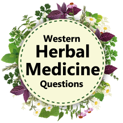 Western Herbal Medicine Questions
